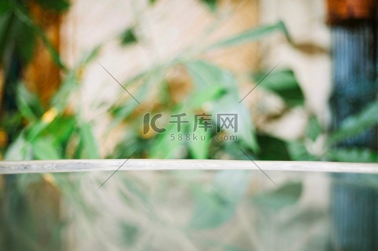 玻璃桌上模糊的背景植物