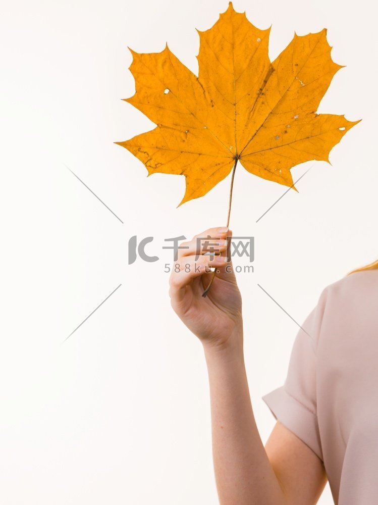 秋季自然装饰概念。女人拿着秋天