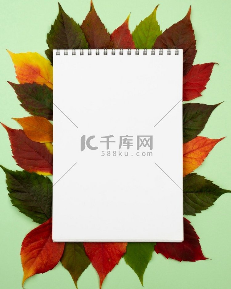 顶视图笔记本与秋天的叶子