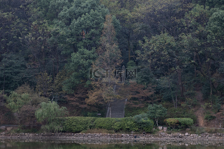 岳麓山森林景区湖面绿色摄影图配