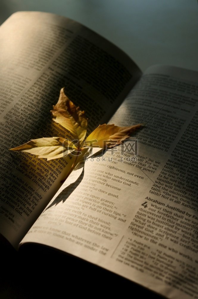 抽象秋天干燥的叶子在打开的圣经