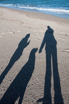 海滩上的狗和它的主人的影子