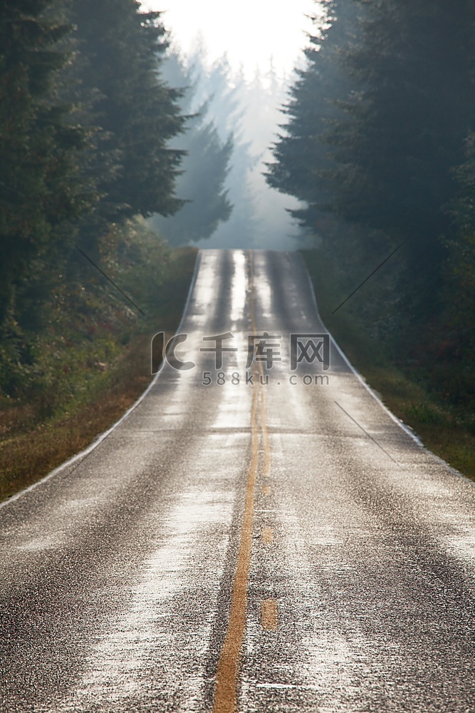 林区道路