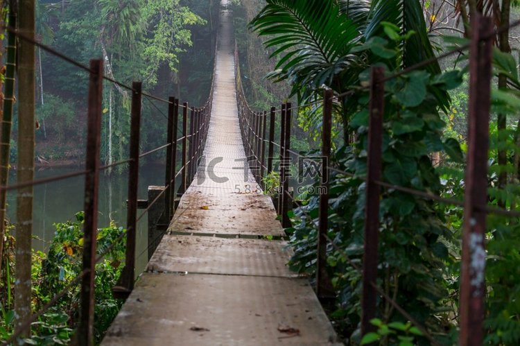 吊桥在丛林，斯里兰卡