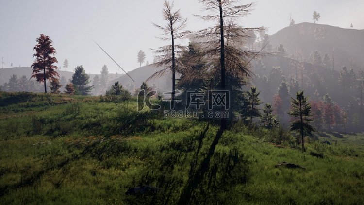 喀尔巴阡山脉的夏季景观