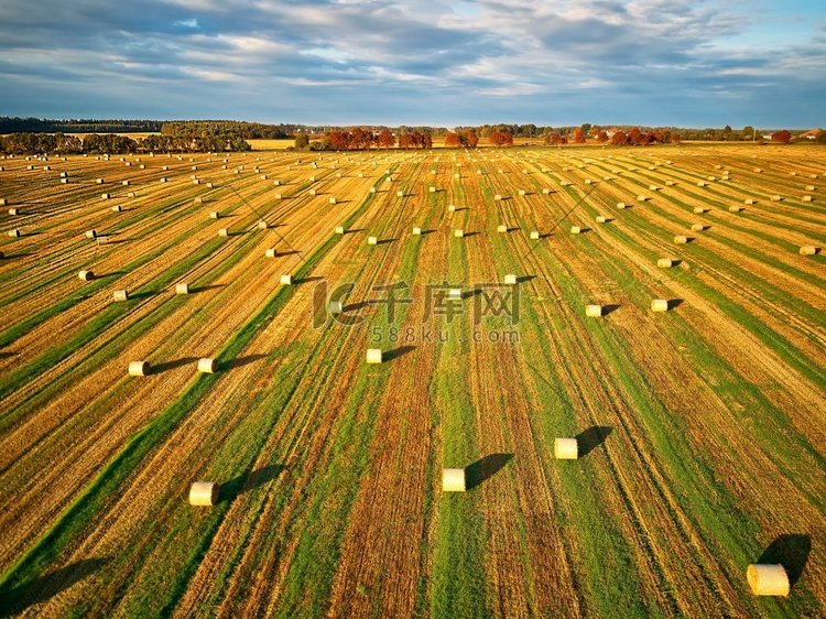 秋天的风景，稻草捆在农田上。干