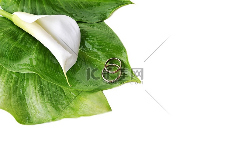白色马蹄莲和绿叶上的结婚戒指合