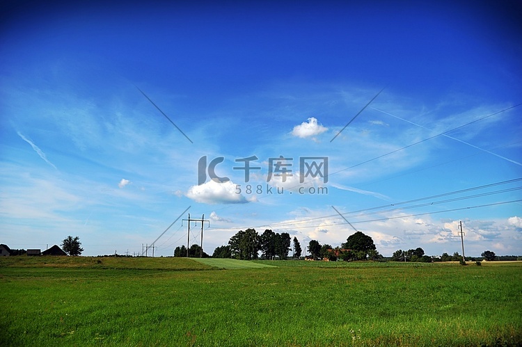 草地和树木。夏季景观