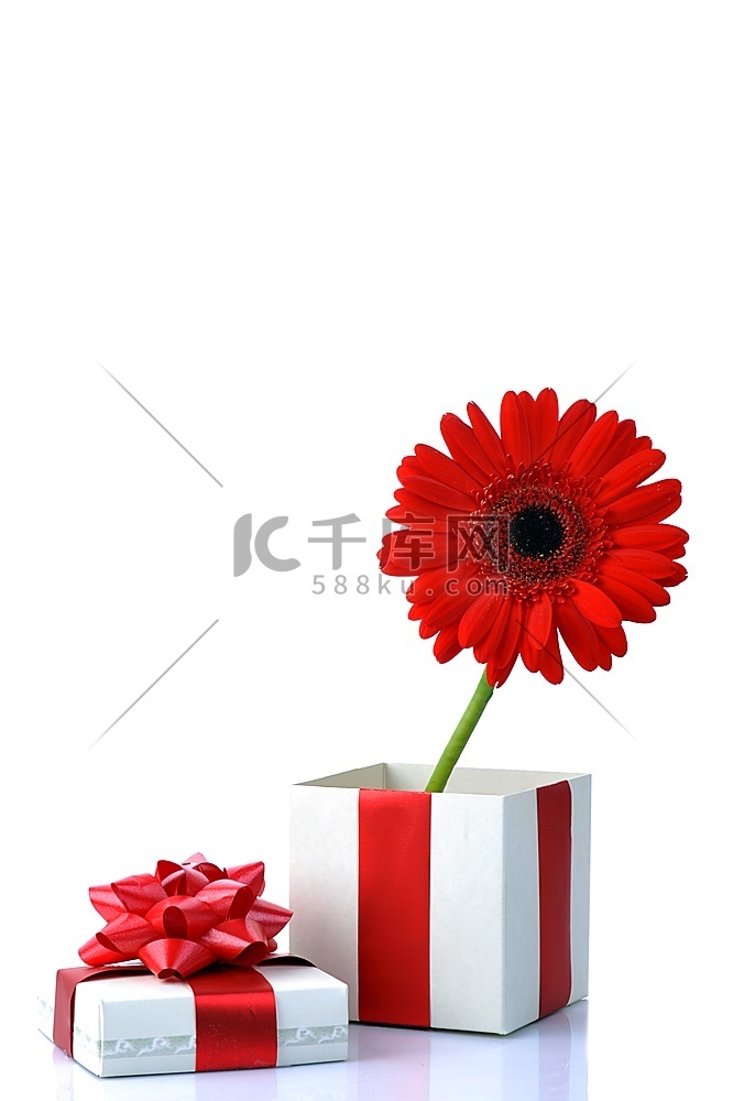 礼物和红花近距离