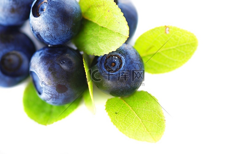 白色背景上有蓝莓的味道。浅景深