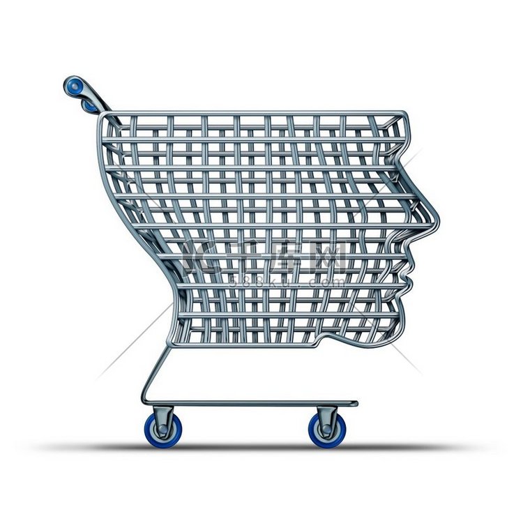 智能购物和智能购物者作为消费者