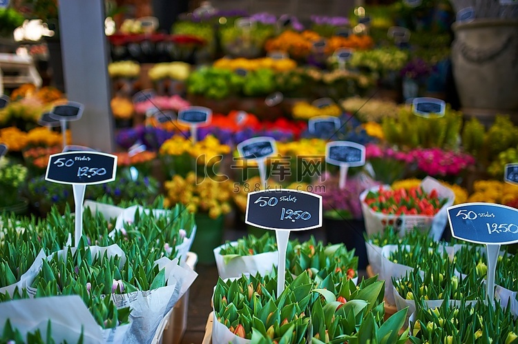 阿姆斯特丹花卉市场关闭细节