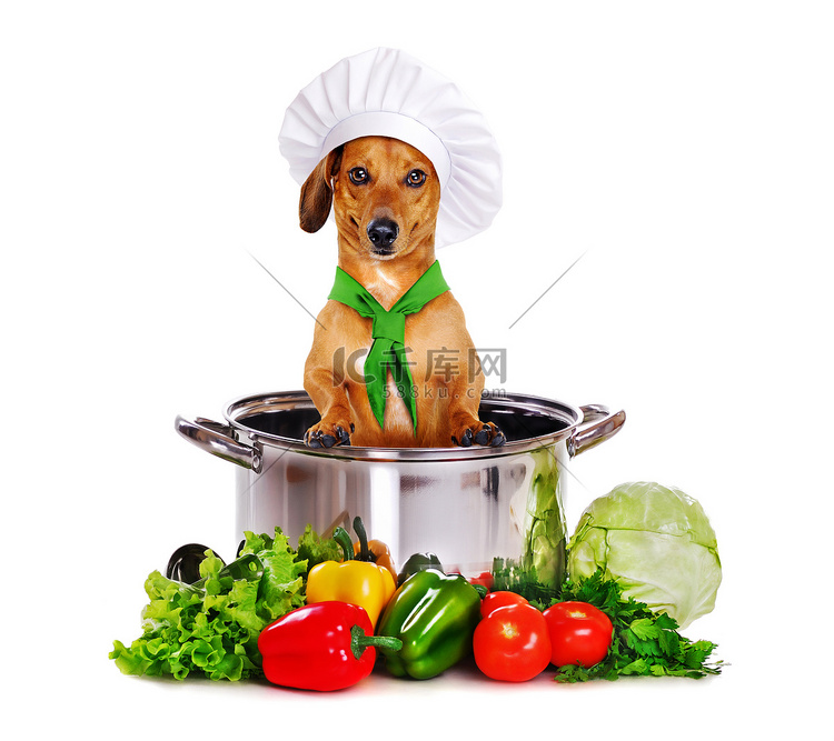 狗坐在大锅里的厨师
