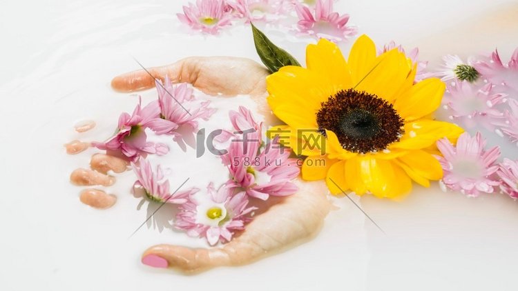 女S手中有娇嫩的黄粉花，清澈洁