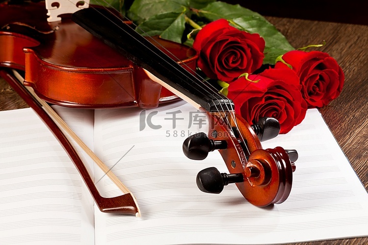 红玫瑰和小提琴