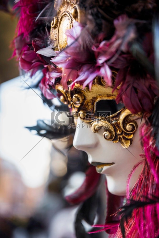 威尼斯嘉年华面具的优雅组合