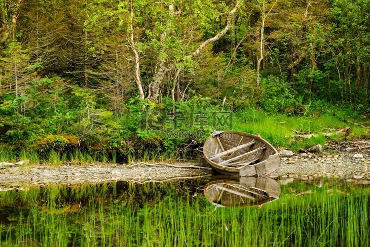 老木船在湖峡湾岸边。挪威的绿色