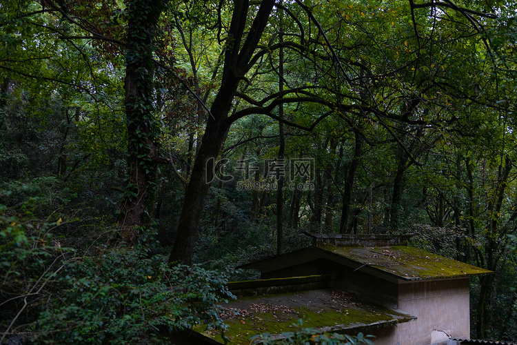 长沙岳麓山小屋树荫下绿色摄影图