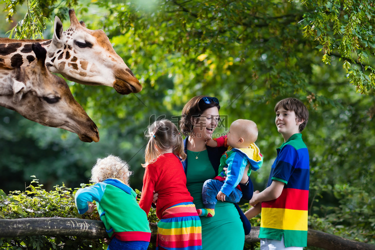 母亲和孩子们在动物园喂养长颈鹿