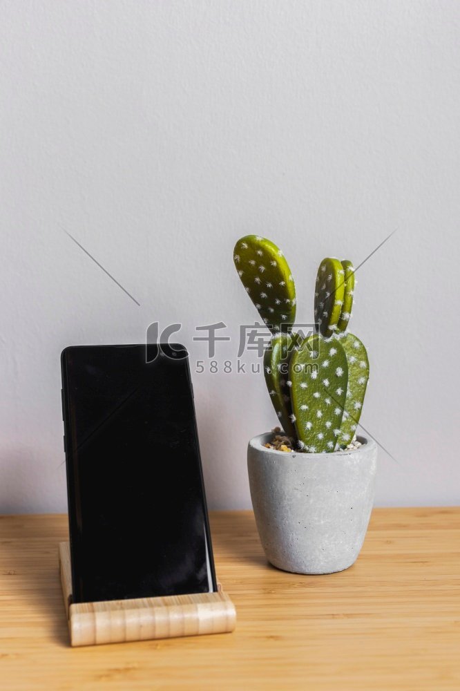 桌子与黑色智能手机仙人掌植物