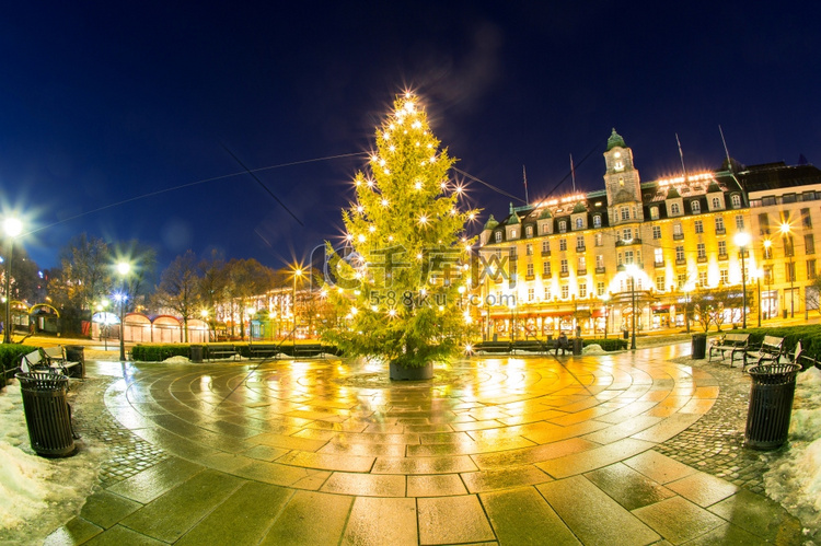 挪威奥斯陆的圣诞树彩灯