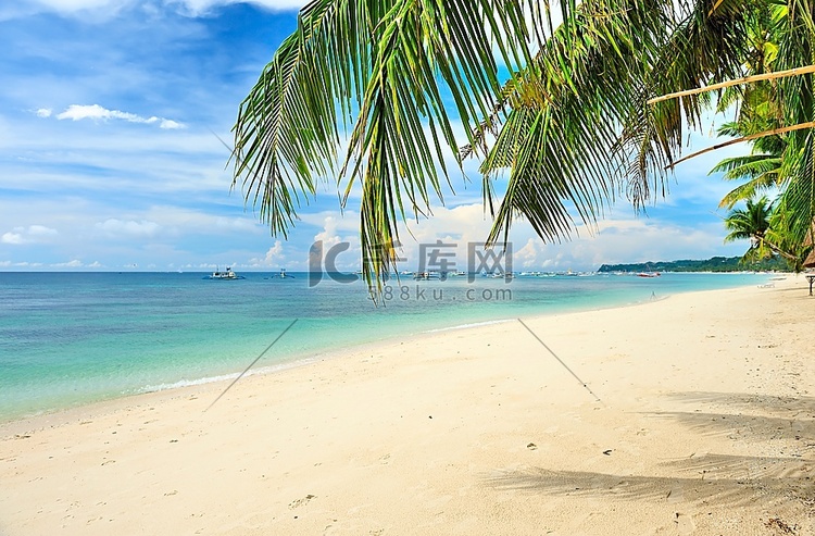 菲律宾美丽的棕榈树海滩