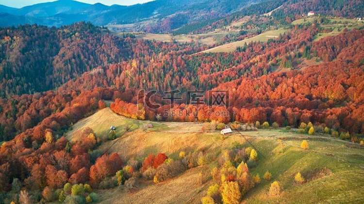 山脉、秋天、全景、森林
