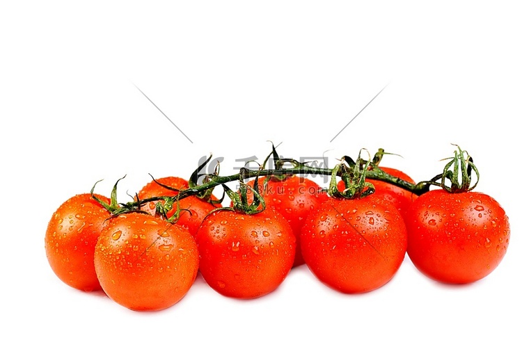 滴水的新鲜西红柿