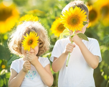 愉快的儿童与向日葵玩在春天领域