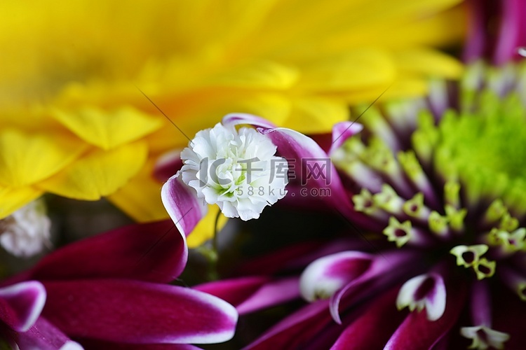 不同花束的花束。黄非洲和紫菊花