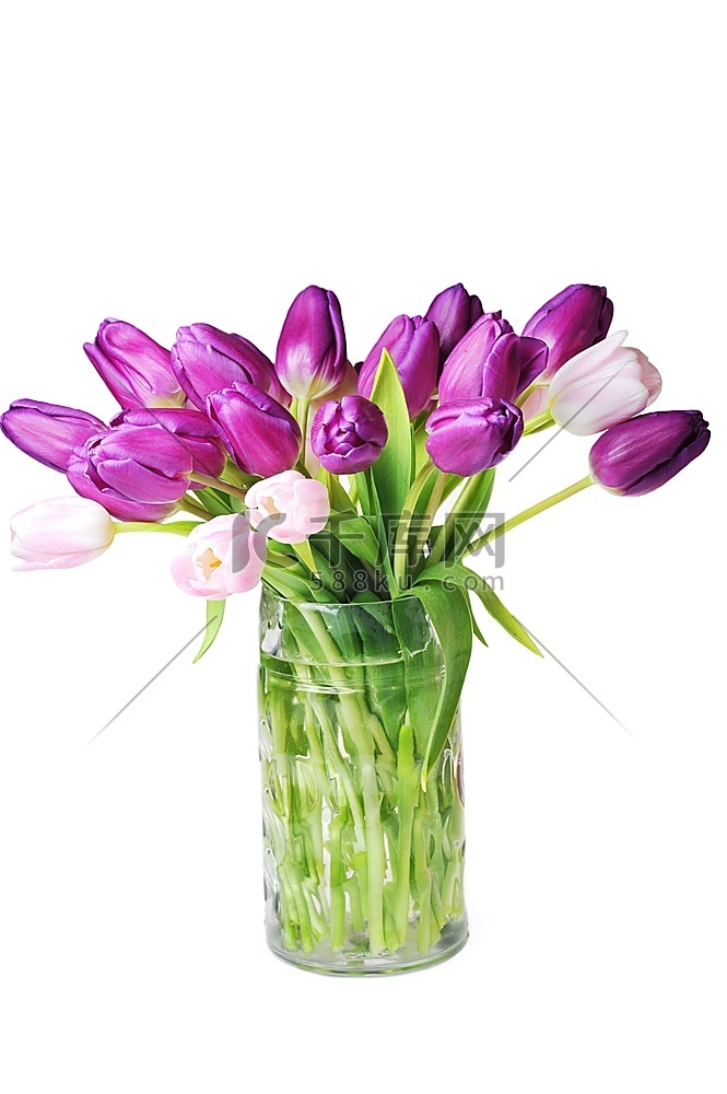 玻璃花瓶中的许多粉色和紫色郁金