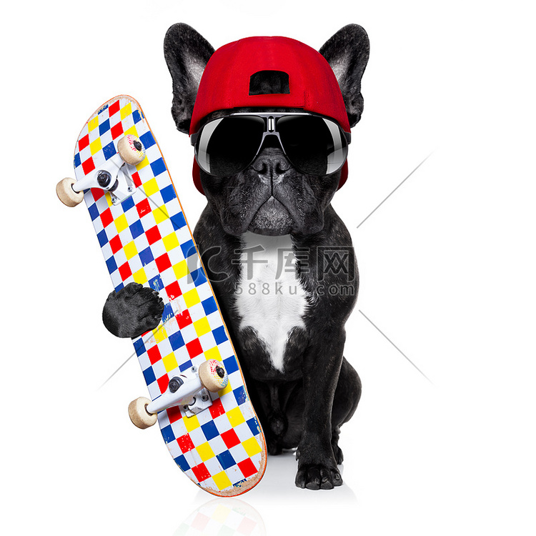 滑板滑板狗