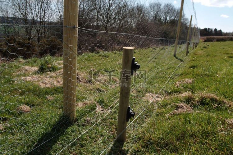 野鸡围栏和电围栏