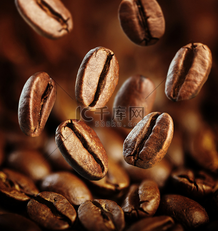 秋天咖啡豆