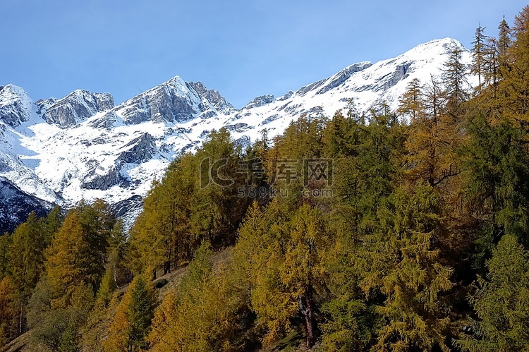 秋天的山脉景观；意大利西部阿尔