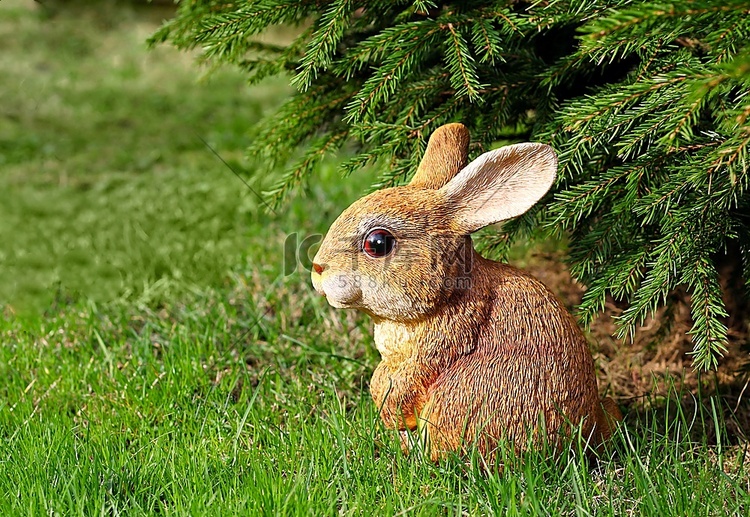 棕色兔子玩具在绿色花园