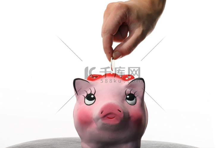 硬币盒粉色猪和手