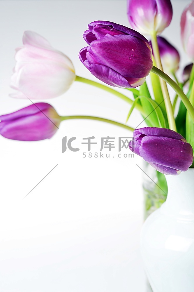 瓷瓶中紫罗兰和粉色郁金香的花束
