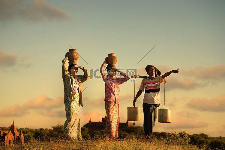 传统的亚洲农民在日落在蒲甘的稻