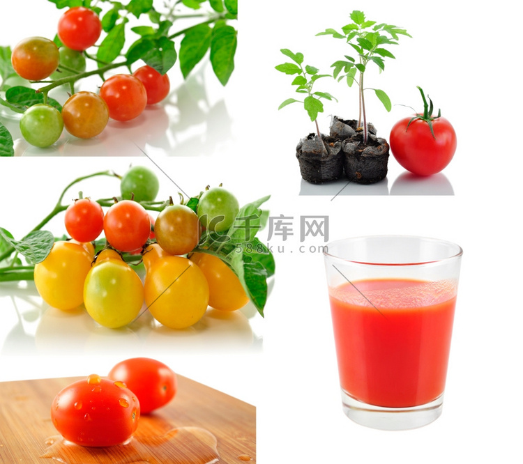 各种番茄蔬菜和番茄汁