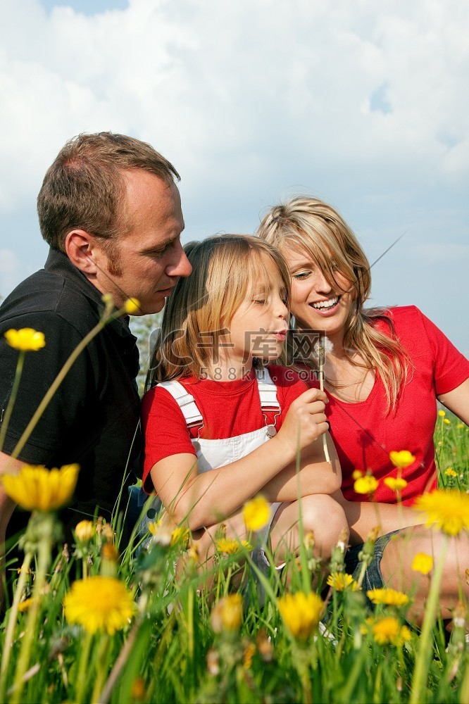 草地上的年轻家庭--吹蒲公英种