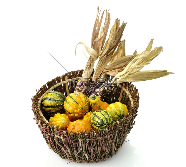 木篮子里的装饰性南瓜和彩色玉米