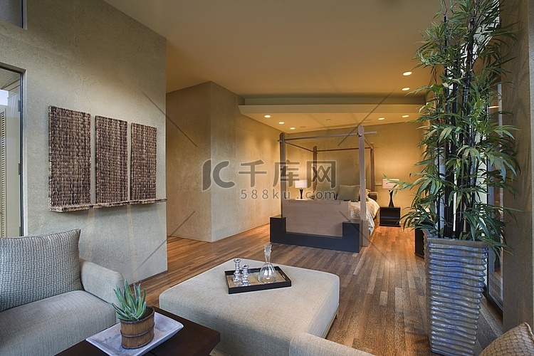 宽敞的客厅内部与竹室内植物