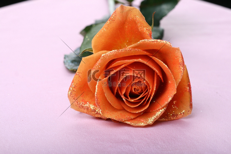 金色装饰的美丽橙色玫瑰