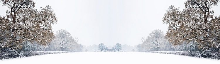 美丽的冬日森林雪景，处女雪厚厚