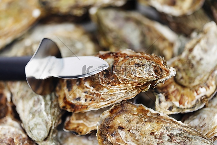 牡蛎和刀
