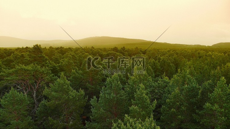 森林景观逐渐消失在雾蒙蒙的山丘