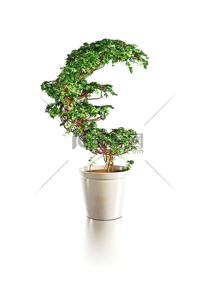 成长中的欧罗树隔离3D渲染