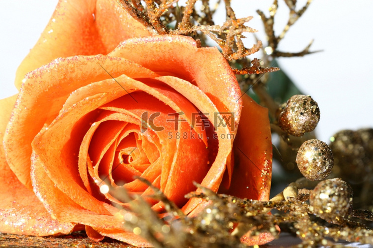 金色装饰的美丽橙色玫瑰