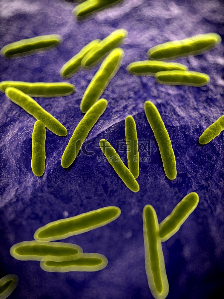 3D渲染的一些细菌的科学插图